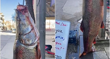 Turnayı gözünden vurdu!