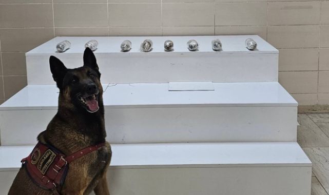 Uyuşturucuya bir darbe daha vuruldu!