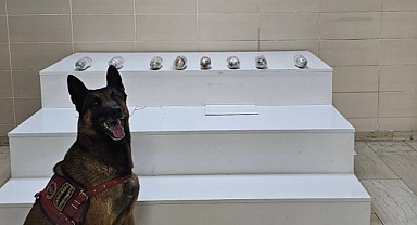 Uyuşturucuya bir darbe daha vuruldu!