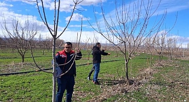 Uzmanlardan çiftçilere budama eğitimi