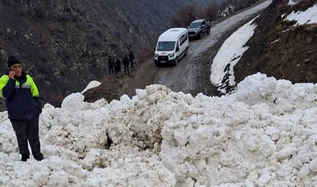 Yerleşim yerlerine çığ engeli!