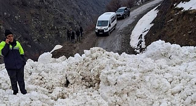 Yerleşim yerlerine çığ engeli!