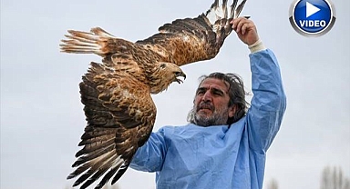 Yırtıcı kuşlar yeniden gökyüzüyle buluşuyor