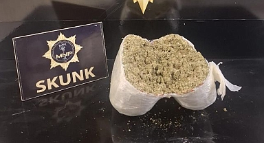 Yolcu otobüsünde skunk ele geçirildi