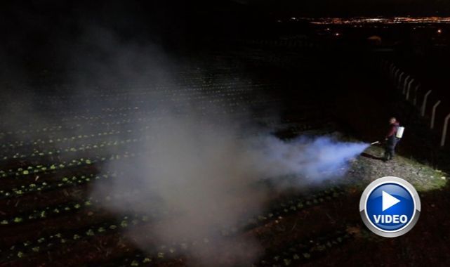 1450 rakımda don nöbeti! Ürünlerini dumanla korudu...