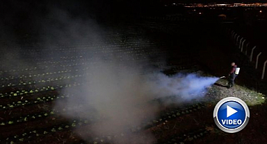 1450 rakımda don nöbeti! Ürünlerini dumanla korudu...