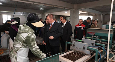 4 milyonluk fide üretiminde zirve 