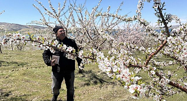 Ağaçlardaki çiçek yoğunluğu rekolte beklentisini artırdı