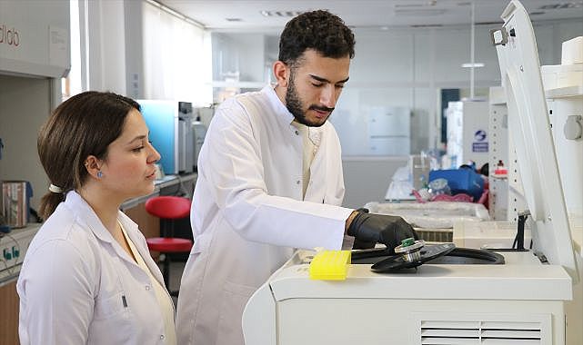 Akademisyen çift zebra balıklarıyla hastalıkları araştırıyor