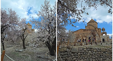 Akdamar Adası’nda bahar şöleni: doğa ve badem çiçekleri büyüledi