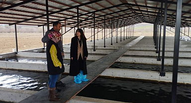 Alabalık üretim tesisine denetim