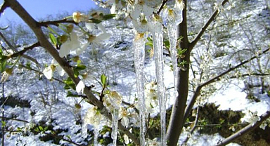 Aman dikkat! meteoroloji üreticileri uyardı 