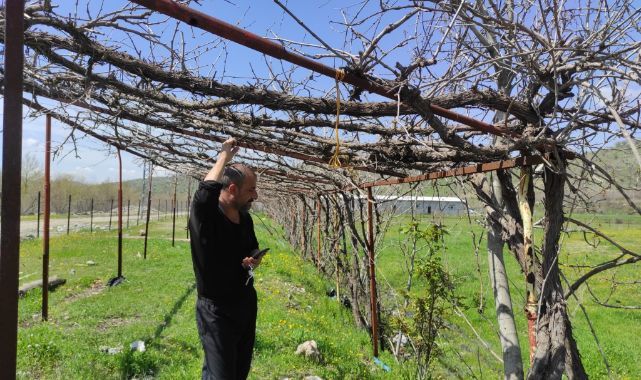 Ani hava değişimi üreticiyi vurdu