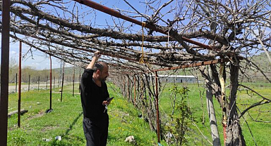 Ani hava değişimi üreticiyi vurdu
