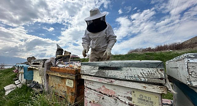 Arıcılar kolonileri besliyor, hazirana bal hasadı hedefleniyor