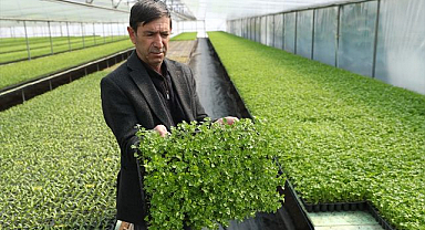 Arkadaşının tavsiyesi hayatını değiştirdi! Bölgenin tedarikçisi oldu