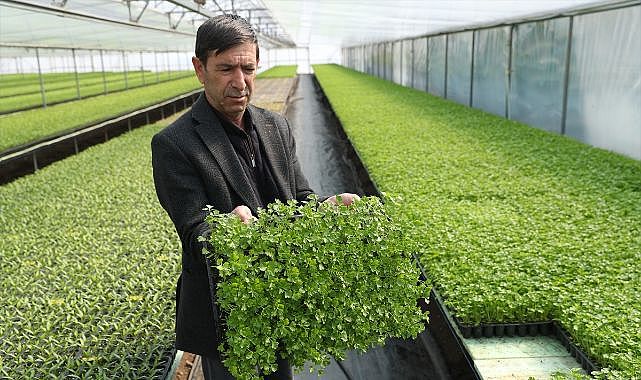 Arkadaşının tavsiyesi hayatını değiştirdi! Bölgenin tedarikçisi oldu