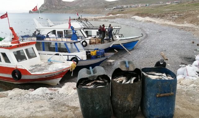 Av yasağı başladı: İnci kefali göçe geçti