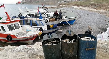 Av yasağı başladı: İnci kefali göçe geçti