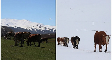 Aynı anda iki mevsim: Dağda kış, ovada bahar