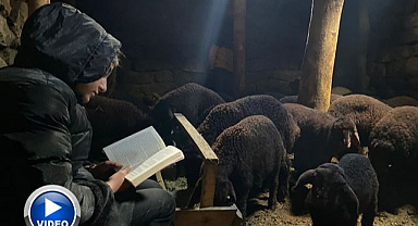 Azmin hikayesi! Gündüz çoban akşam öğrenci