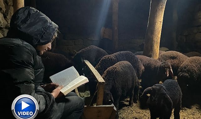 Azmin hikayesi! Gündüz çoban akşam öğrenci