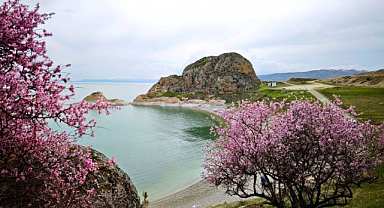 Badem çiçekleri doğayı renklendirdi