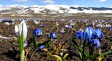 Bahar coşkusu başladı