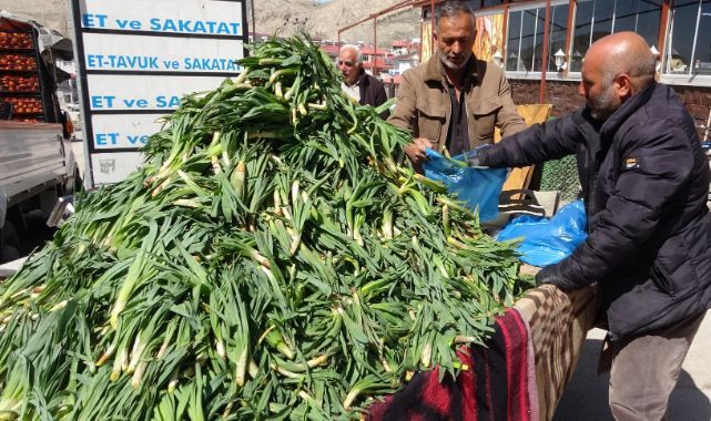 Baharın şifası çiriş otu tezgahlarda yerini aldı