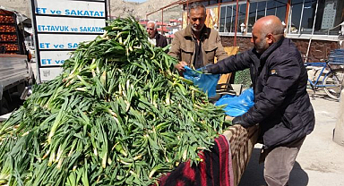 Baharın şifası çiriş otu tezgahlarda yerini aldı
