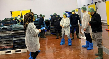 Balık işleme tesisleri denetlendi   