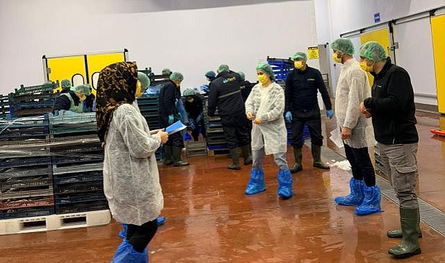 Balık işleme tesisleri denetlendi