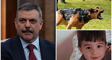 Başıboş köpekler can aldı! Bakan Çiftçi:'Tüm tedbirleri gözden geçireceğiz'