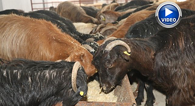 Beklenen projenin başvuru süreci devam ediyor   