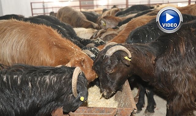 Beklenen projenin başvuru süreci devam ediyor