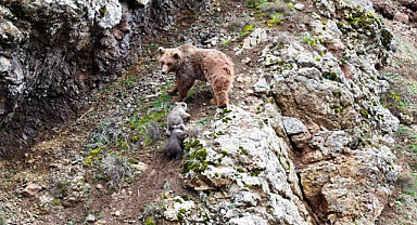 Belgeselleri aratmayan görüntüler içleri ısıttı