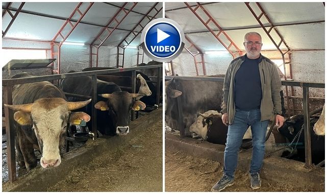 Besiciler bayrama hazırlanıyor, maliyetler zorluyor