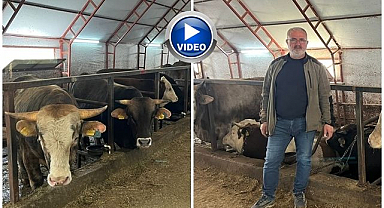 Besiciler bayrama hazırlanıyor, maliyetler zorluyor