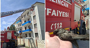 Çatıda ipe takılan kuşu itfaiye kurtardı