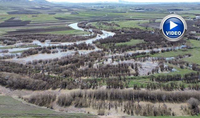 Çay taştı ağaçlar sular altında kaldı   