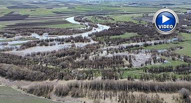 Çay taştı ağaçlar sular altında kaldı   