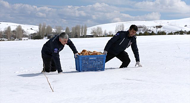 Cezaevi görevlileri yaban hayvanlarını unutmadı