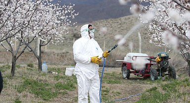 Çiçek açtı, ilaçlama başladı