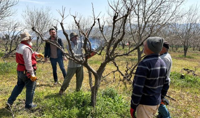 Çiftçiler zirai donun etkisinde