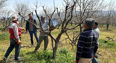 Çiftçiler zirai donun etkisinde