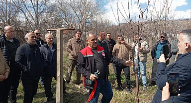 Çiftçilere budama eğitimi