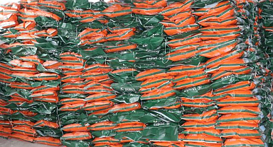 Çiftçinin yüzü güldü! Onlarca ton tohum dağıtıldı