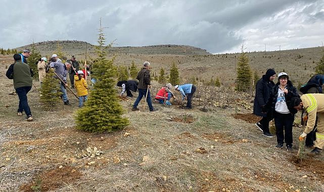 Çocuklar fidan dikerek doğa bilinci kazandı