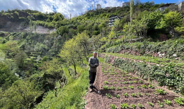 Dededen toruna uzanan bir yamacın hikayesi! 