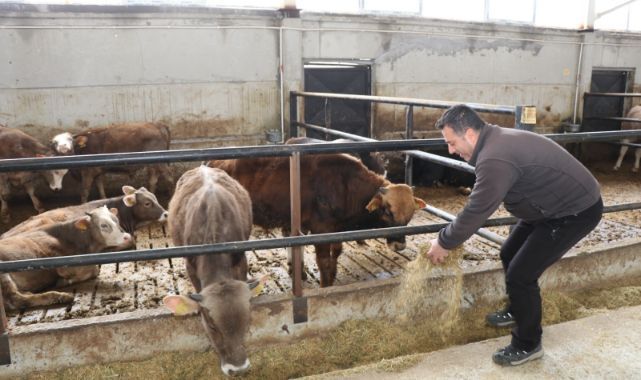 Devlet desteğiyle işini büyüttü! Akıllı ahır projesiyle hayatı değişti